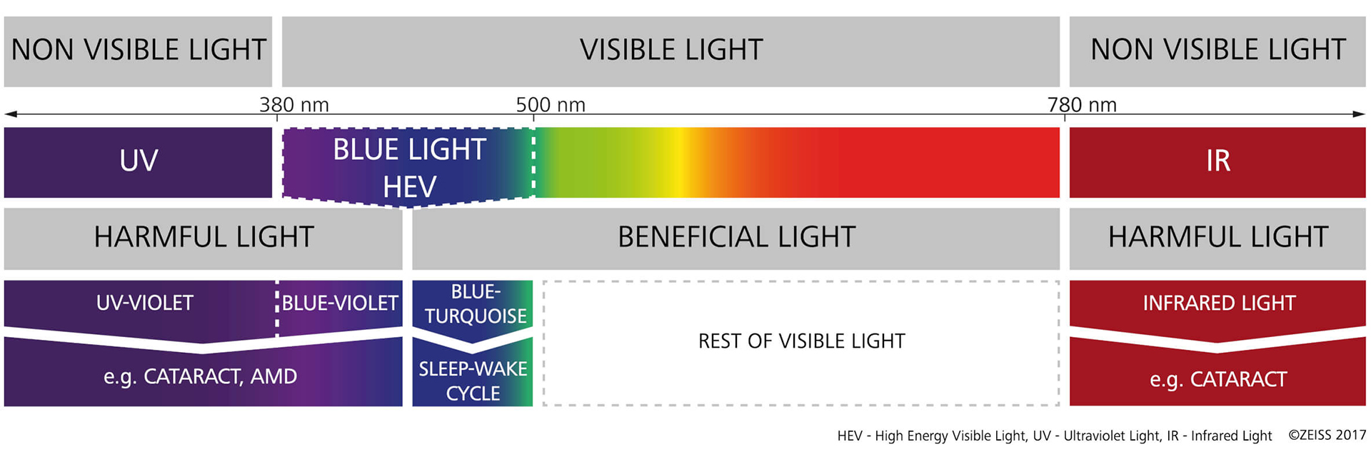 Los conos se encargan de esta tarea, así funciona la visión del color 