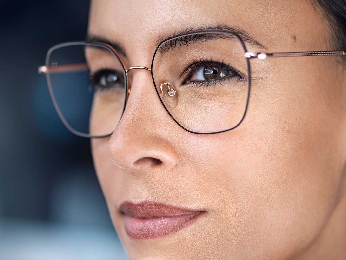 Oscuridad en el exterior comparable al de unas gafas de sol y claridad impecable en el interior